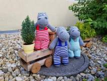 FB_IMG_1689342221846